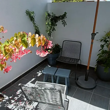 Cotufa Garden 아파트 *